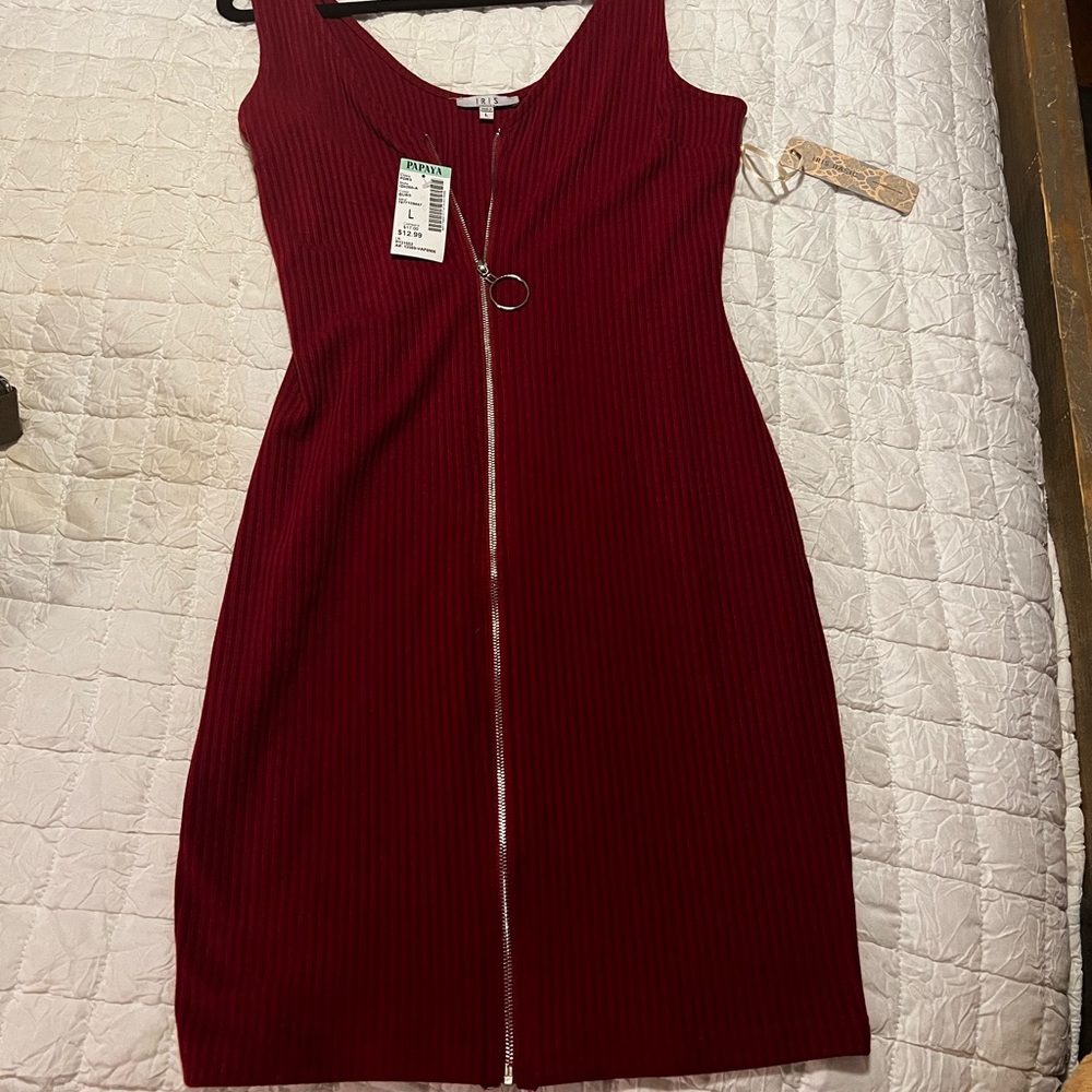 Wine Colored Fitted Dress